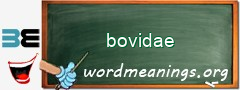 WordMeaning blackboard for bovidae